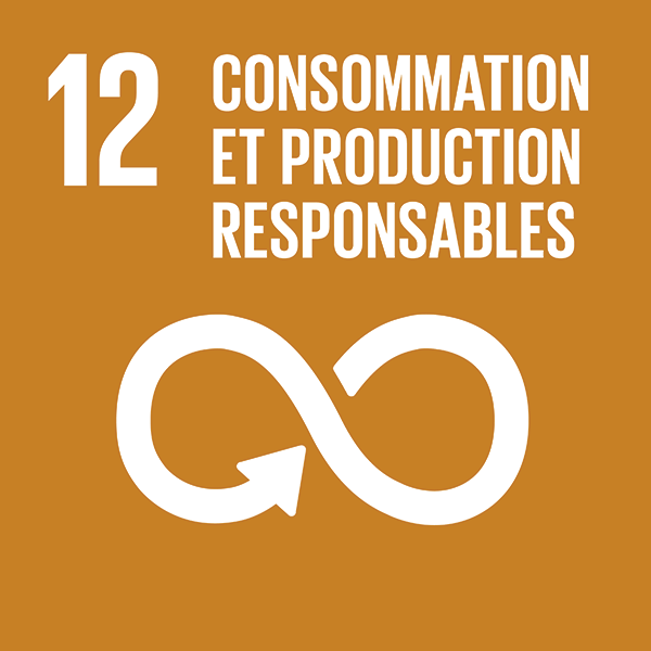 Consommation et production responsables