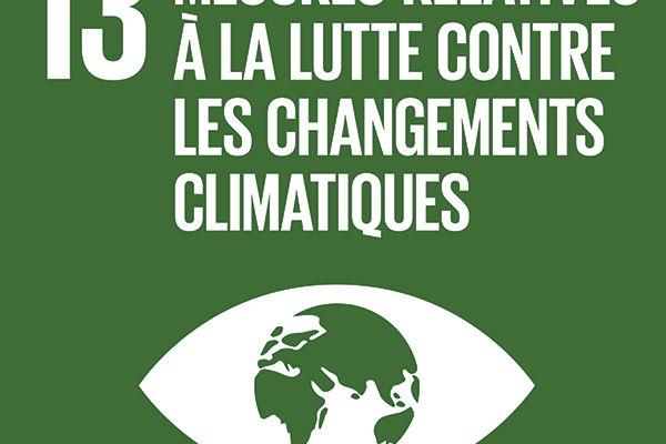 Mesures relatives à la lutte contre changements climatiques