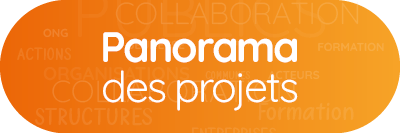 Bouton panorama des projets